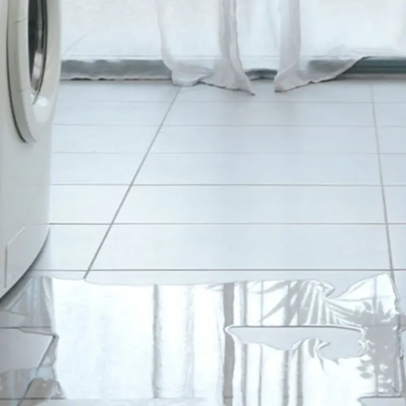 Appliance Leak Cleanup in Leona Valley, CA
