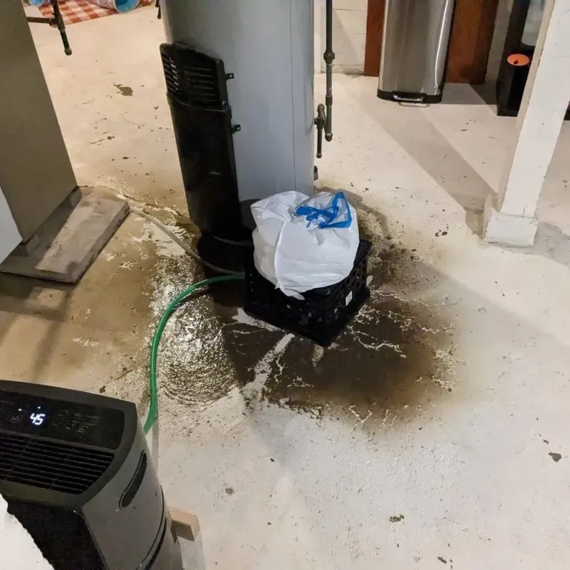 Sewage Backup Cleanup Service in Leona Valley, CA